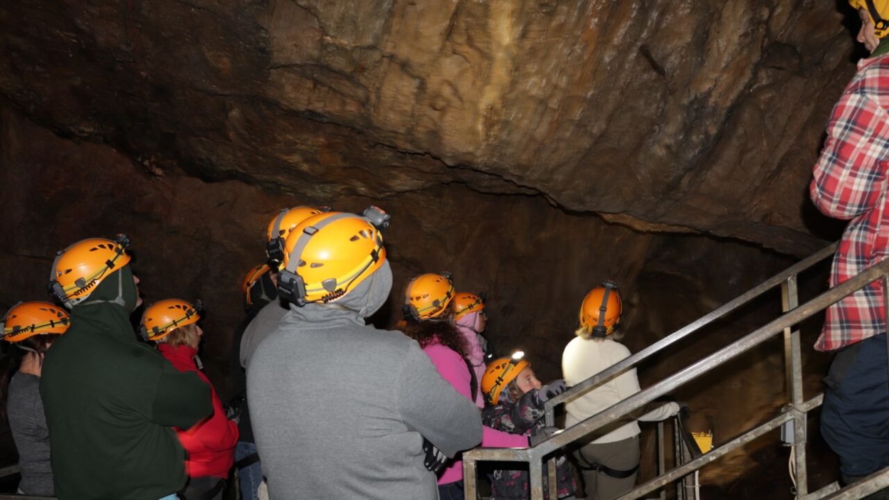 Réserver Grotte SaintElzéar